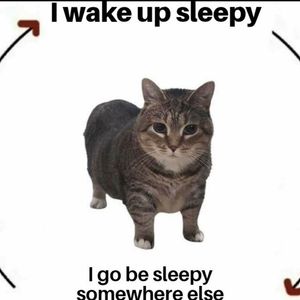 i wake up sleepy